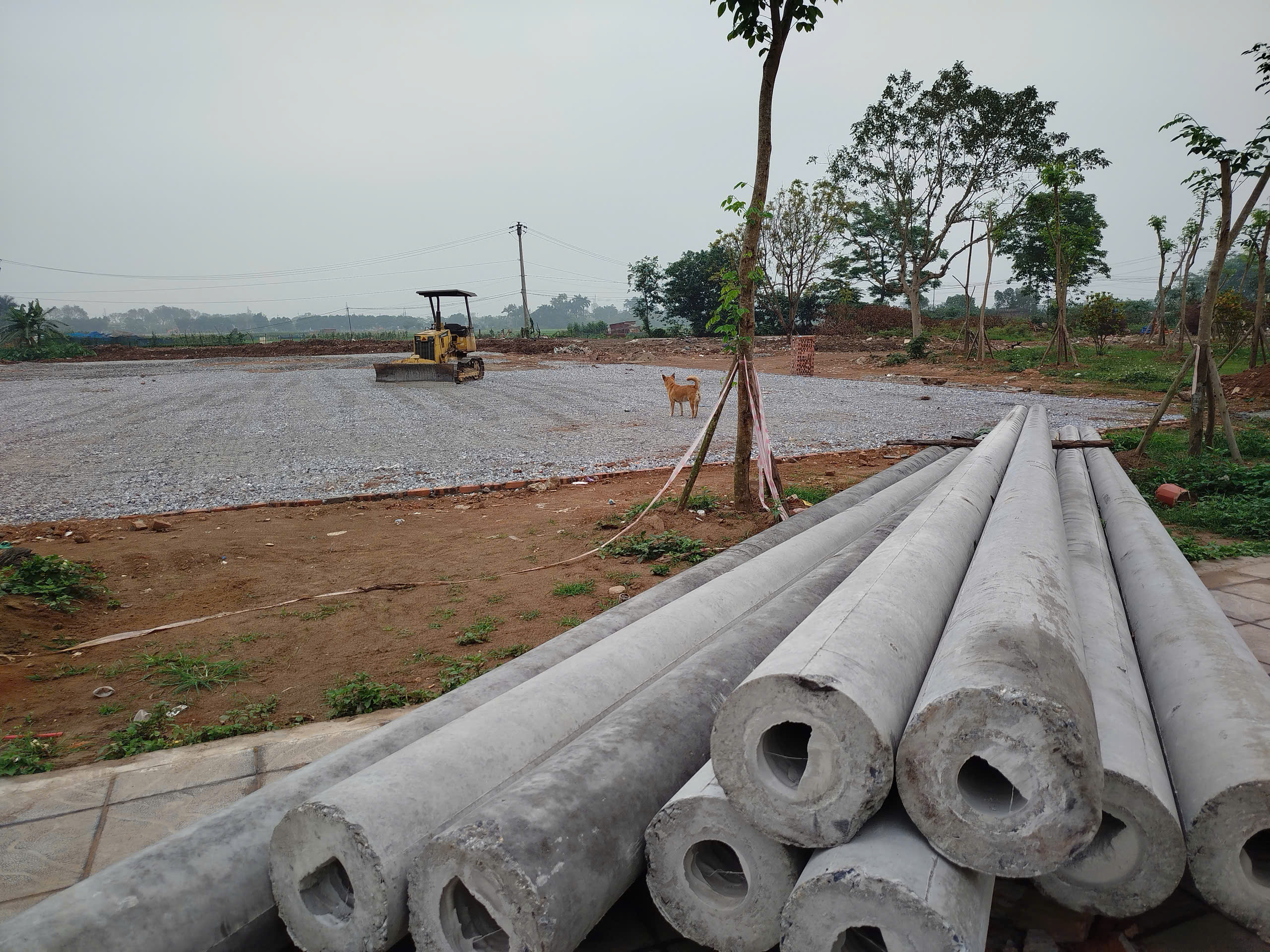 Cuộn cỏ nhân tạo và hạt cao su - vật tư sân bóng