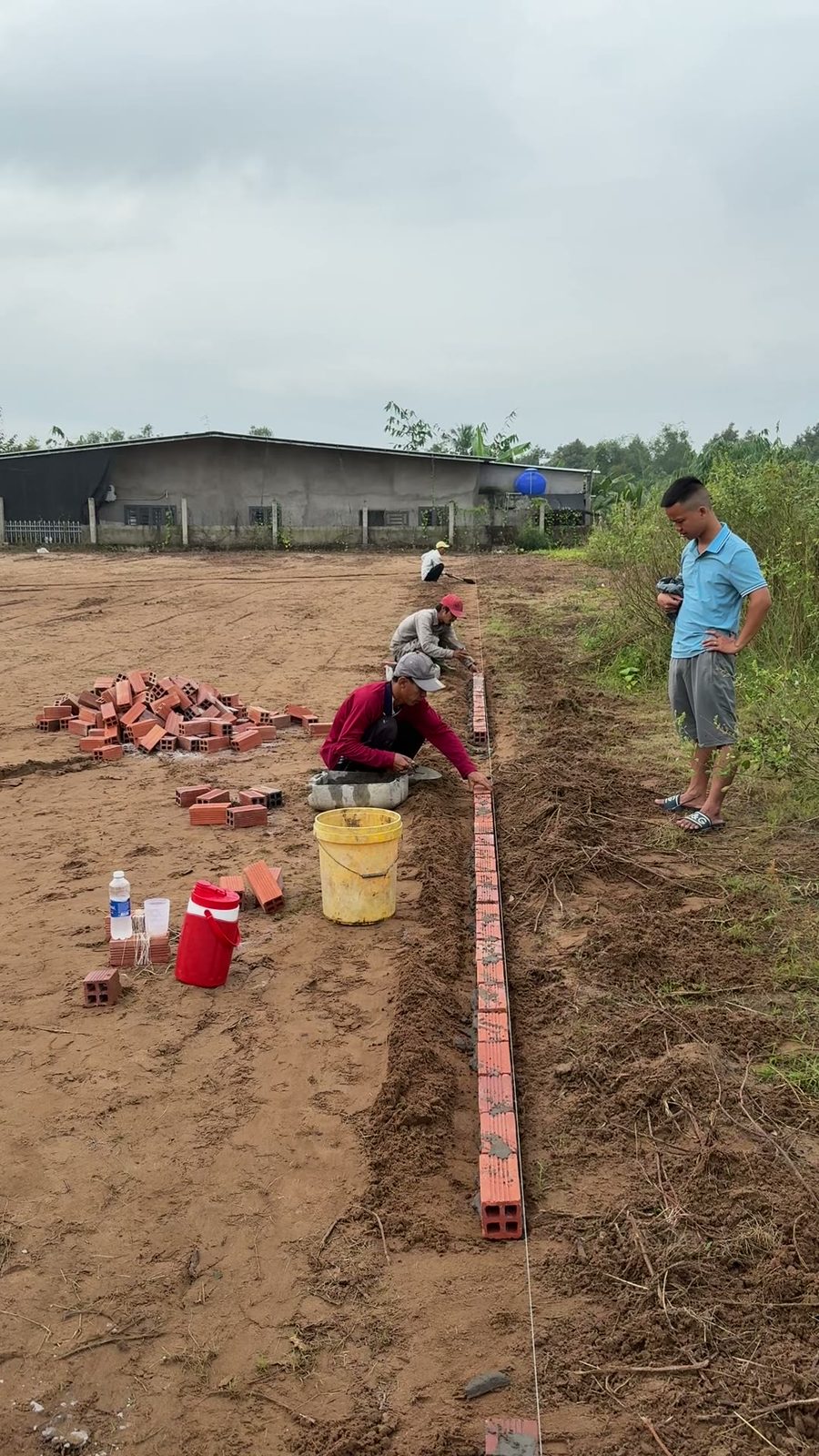 Sân Phú Phụng – Vĩnh Long – sân cỏ nhân tạo do đội ngũ Nguyễn Đức Toàn thi công